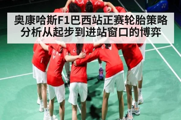 奥康哈斯F1巴西站正赛轮胎策略分析从起步到进站窗口的博弈